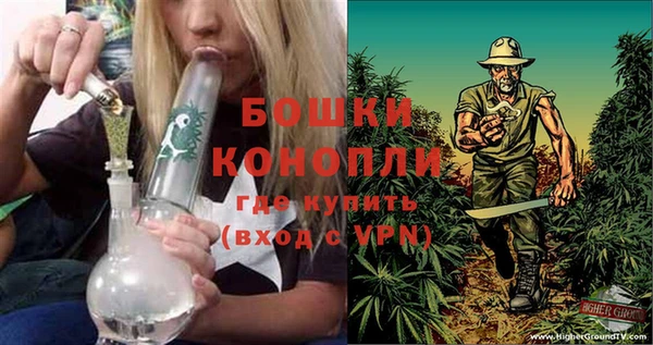 бошки Верея