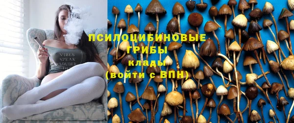 бошки Верея
