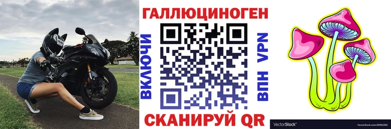 Псилоцибиновые грибы мицелий  Купить  Вязьма 