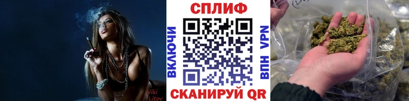 Купить закладки  Вязьма  Канабис Amnesia 